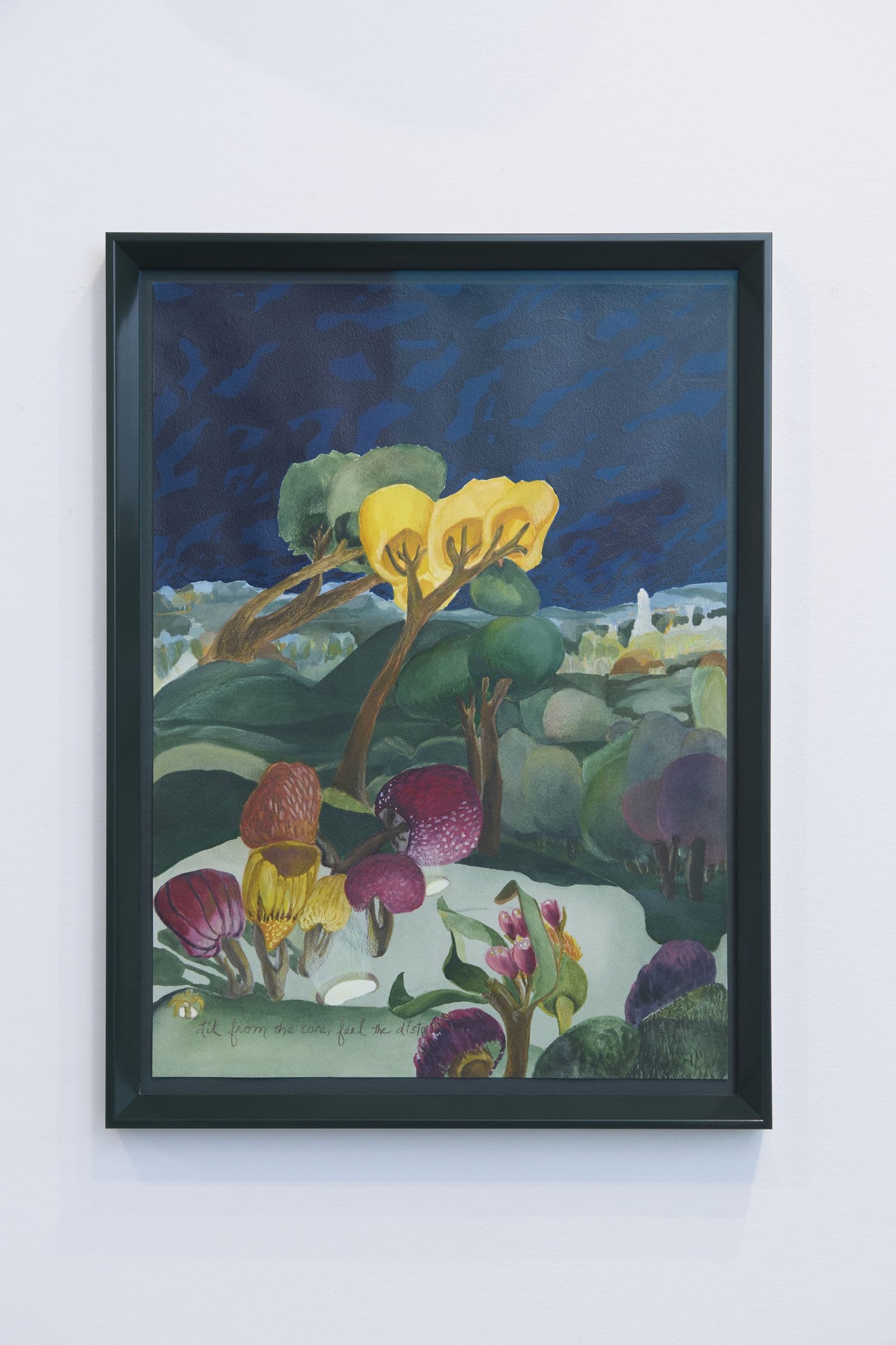 Framed botanical watercolor on a white wall at Lola Gallery
